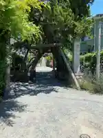 荏柄天神社(神奈川県)