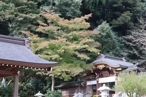 高麗神社のその他建物