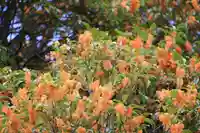 鹿島大神宮の庭園