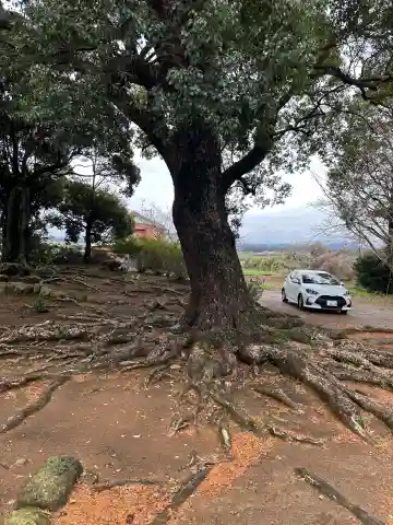 神代温泉神社(長崎県)