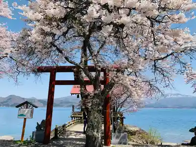 浮木神社の鳥居