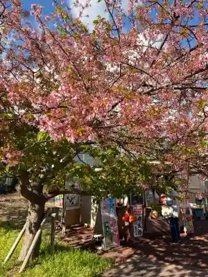 かっぱの寺 栖足寺(静岡県)