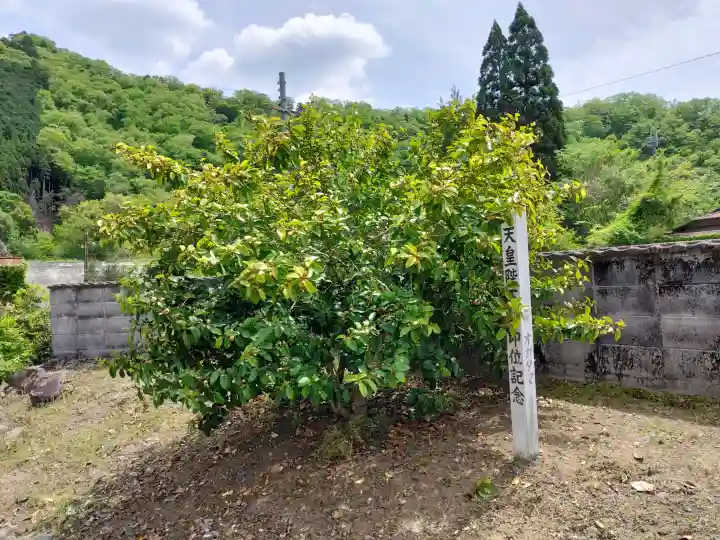 月讀神社の{uncategorized: "未分類", other: "その他", undefined: "問題あり", building: "その他建物", grave: "お墓", sacred_gate: "鳥居", guardian: "狛犬", statue: "像", buddha: "仏像", history: "歴史", nature: "自然", garden: "庭園", animal: "動物", pagoda: "塔", temizu: "手水舎", mountain_gate: "山門・神門", sanctuary: "本殿・本堂", subordinate: "末社・摂社", art: "芸術", scenery: "景色", jizo: "地蔵", ema: "絵馬", goshuin: "御朱印", omikuji: "おみくじ", items: "授与品その他", amulet: "お守り", goshuincho: "御朱印帳", eats: "食事", festival: "お祭り", votive_dance: "神楽", shichigosan: "七五三参", wedding: "結婚式", experience: "体験その他", initially: "初詣", around: "周辺", anti_infection: "感染症対策"}