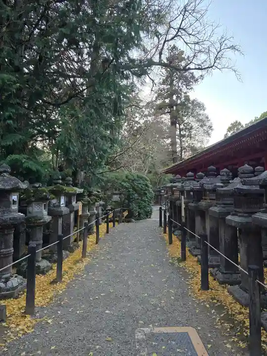 春日大社(奈良県)