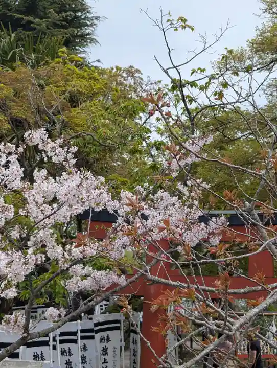 旗上弁財天社の御朱印