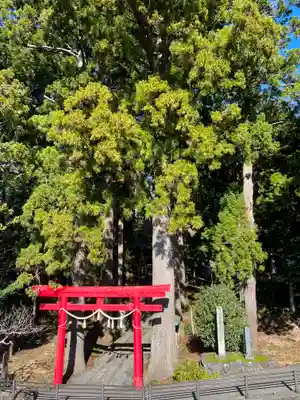須山浅間神社の鳥居