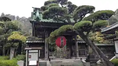 長谷寺の山門・神門