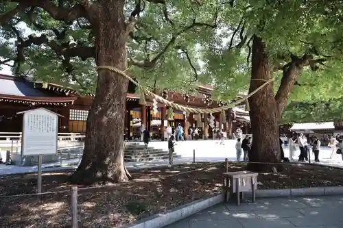 明治神宮(東京都)