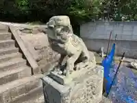 八坂神社の狛犬
