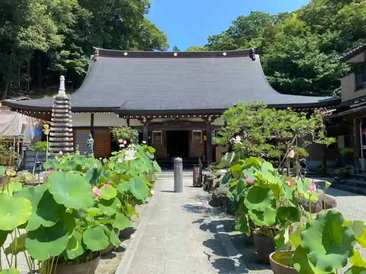 妙圓寺(神奈川県)
