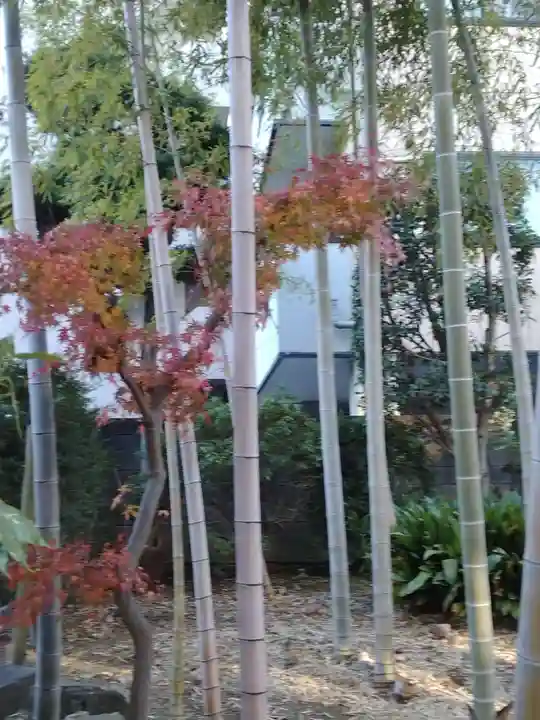 吉祥院(東京都)