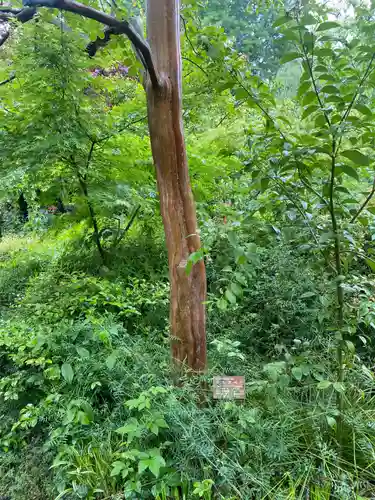 冠稲荷神社(群馬県)