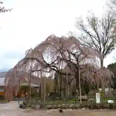 清瀧院(千葉県)