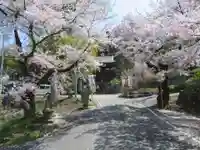 福光園寺の自然