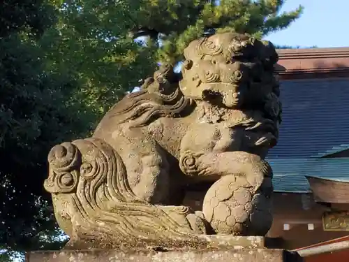 天沼八幡神社の狛犬