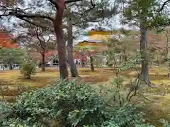 鹿苑寺（金閣寺）(京都府)