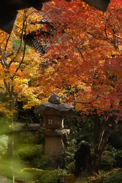 圓光寺(京都府)