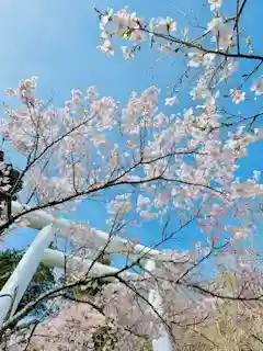 土津神社｜こどもと出世の神さま(福島県)