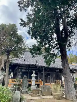 本乗寺の{uncategorized: "未分類", other: "その他", undefined: "問題あり", building: "その他建物", grave: "お墓", sacred_gate: "鳥居", guardian: "狛犬", statue: "像", buddha: "仏像", history: "歴史", nature: "自然", garden: "庭園", animal: "動物", pagoda: "塔", temizu: "手水舎", mountain_gate: "山門・神門", sanctuary: "本殿・本堂", subordinate: "末社・摂社", art: "芸術", scenery: "景色", jizo: "地蔵", ema: "絵馬", goshuin: "御朱印", omikuji: "おみくじ", items: "授与品その他", amulet: "お守り", goshuincho: "御朱印帳", eats: "食事", festival: "お祭り", votive_dance: "神楽", shichigosan: "七五三参", wedding: "結婚式", experience: "体験その他", initially: "初詣", around: "周辺", anti_infection: "感染症対策"}