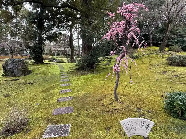 城南宮(京都府)