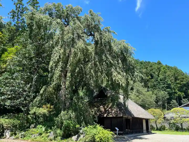 高麗神社(埼玉県)