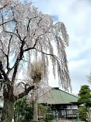 長松院(福島県)