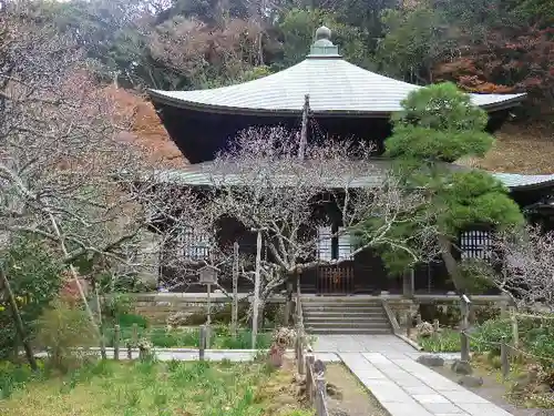 瑞泉寺の庭園