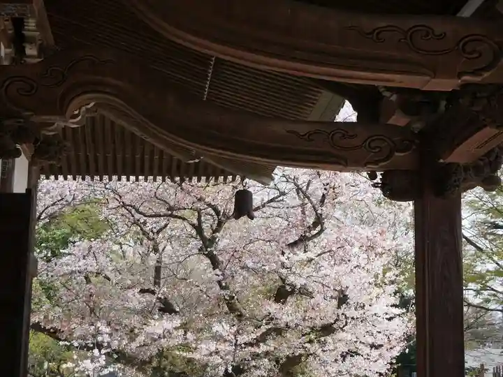 時宗総本山 遊行寺(正式:清浄光寺)の景色