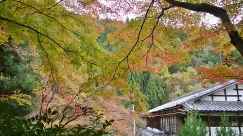 吟松寺の自然