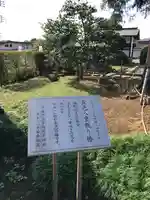 保井寺(東京都)