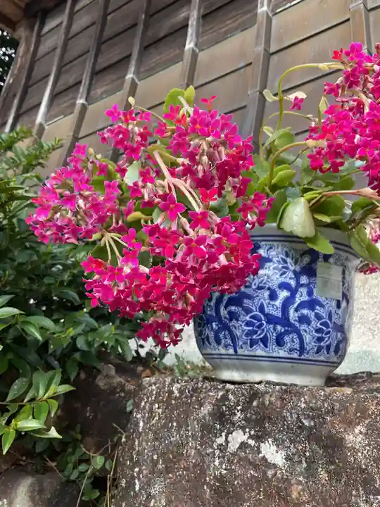 恵利寺の庭園
