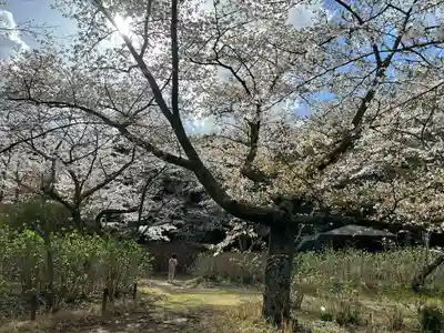 東勝寺宗吾霊堂(千葉県)