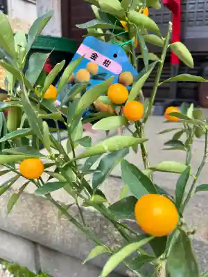 一心寺(東京都)