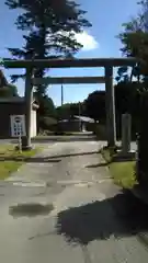 鹿島神社の鳥居