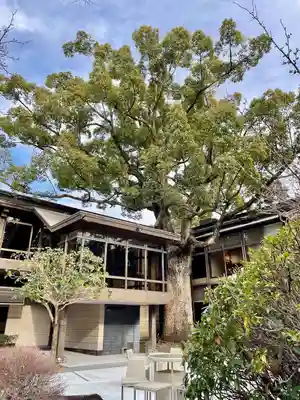 報徳二宮神社(神奈川県)