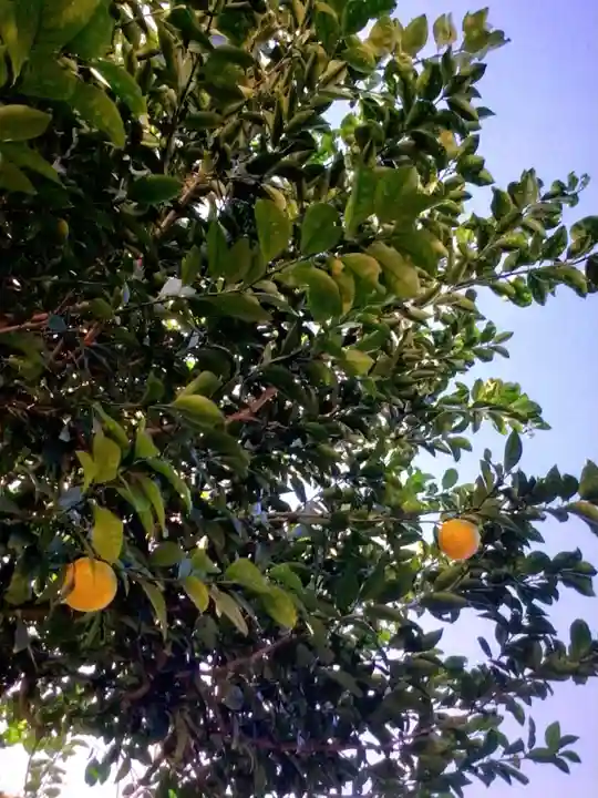 本郷氷川神社(東京都)