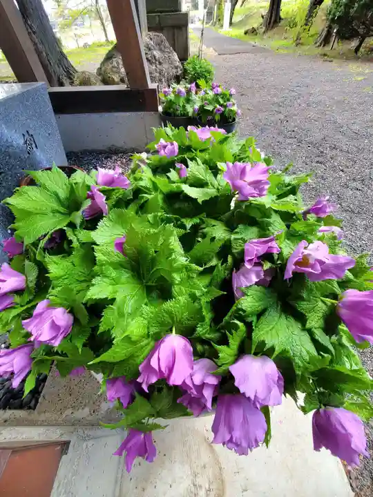 高司神社〜むすびの神の鎮まる社〜(福島県)