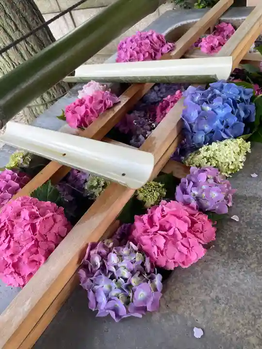 白鬚神社(東京都)