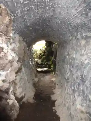 無戸室浅間神社(船津胎内神社)の自然