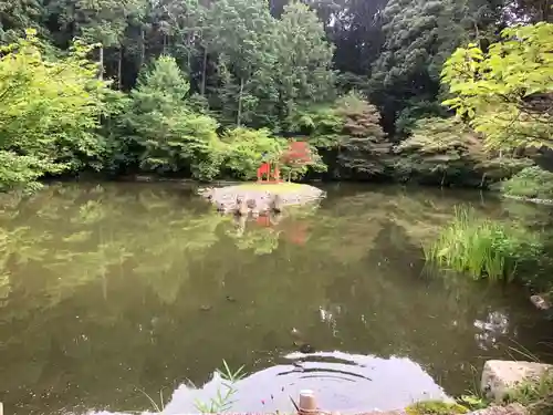 浄瑠璃寺の庭園