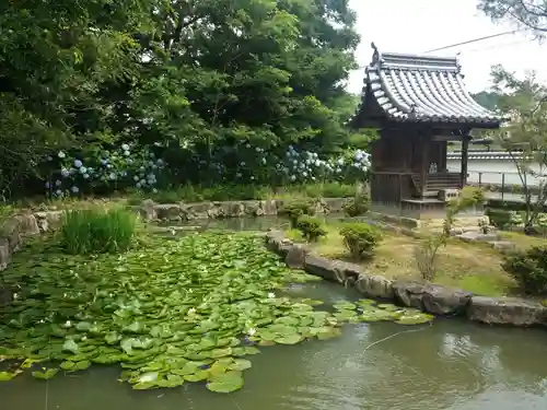 神積寺の庭園