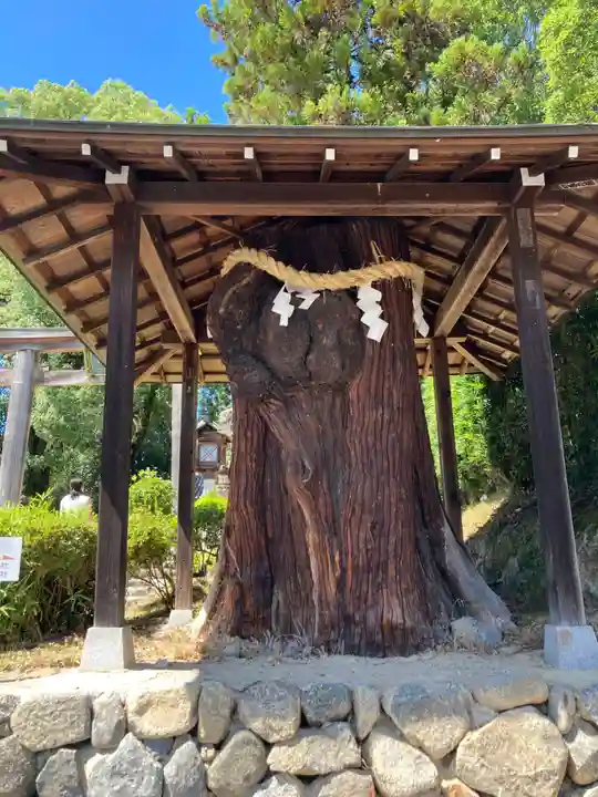 大直禰子神社(奈良県)
