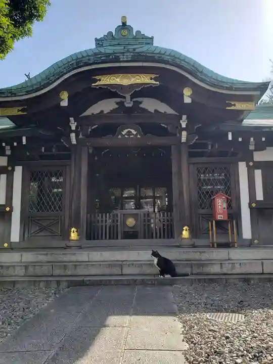 白金氷川神社の本殿・本堂