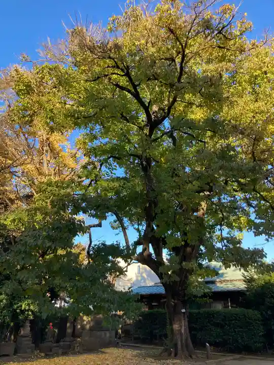 最勝寺教学院(東京都)