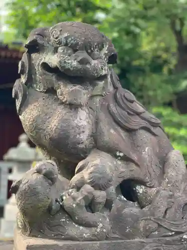 （芝生）浅間神社の狛犬