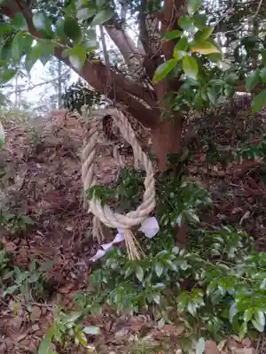 天満宮(宮城県)