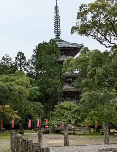 醍醐寺(京都府)