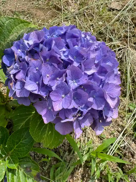 熊野福藏神社(福島県)