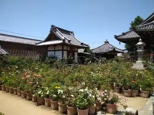 おふさ観音（観音寺）のその他建物
