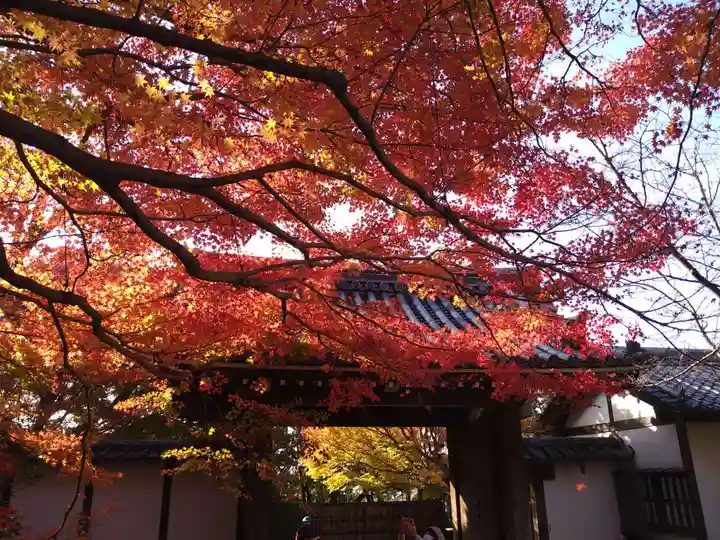龍安寺の山門・神門